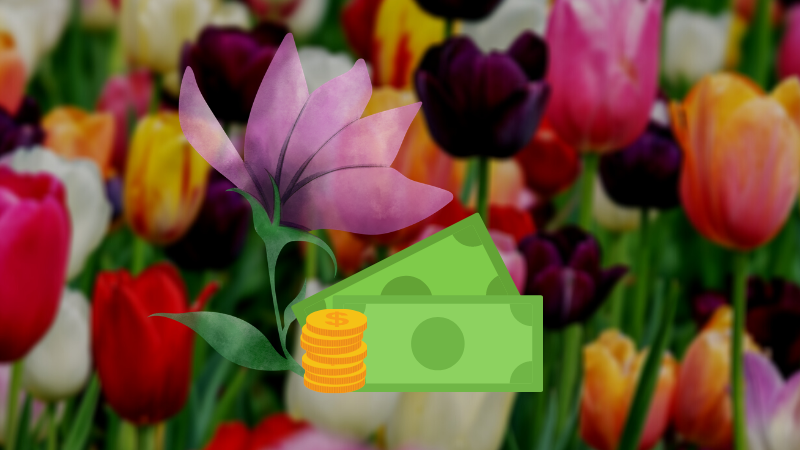 Gracht und Tulpe
